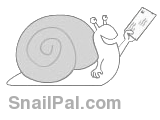 SnailPal Logo